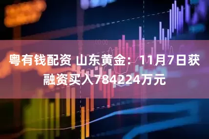 粤有钱配资 山东黄金：11月7日获融资买入784224万元